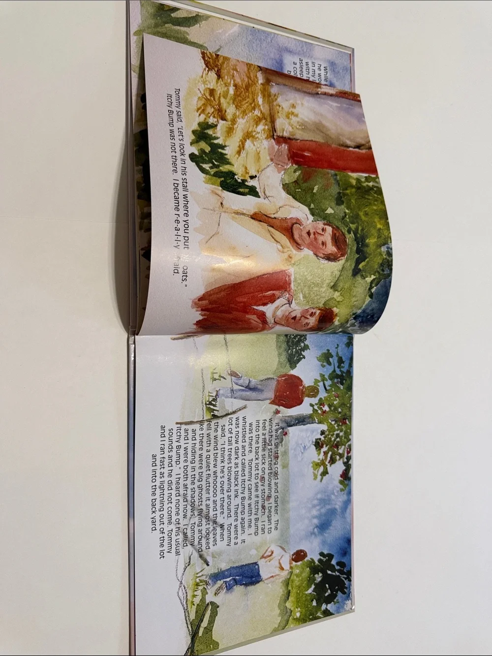 Itchy Bump, a Kinda Wild Thing Hardcover Book by Dr Bob Johnston & Lori Meyer